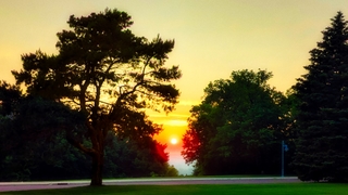 Sunset and Trees